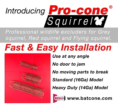 Pro Cone Squirrel Removal